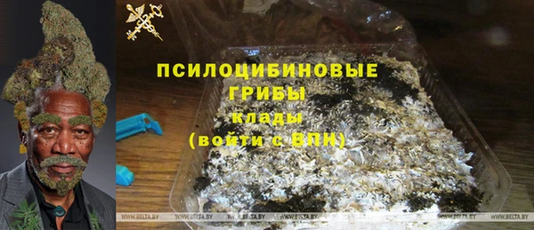бошки Дмитровск