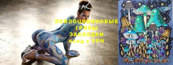 прущие крисы Ельня