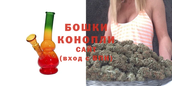 дмт Елизово