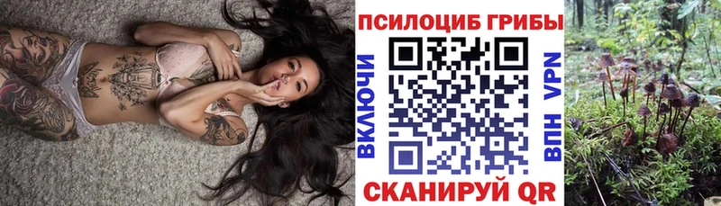 Псилоцибиновые грибы Psilocybe  blacksprut сайт  Балашиха  дарнет шоп 