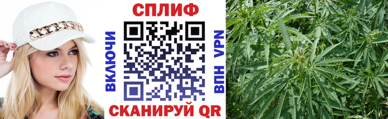 купить наркотики сайты  Балашиха  Шишки марихуана сатива 